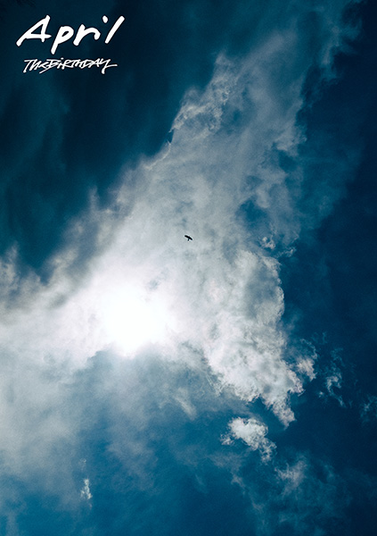 限定 新保勇樹 The Birthday チバユウスケ ポスター 限定 新保勇樹 The