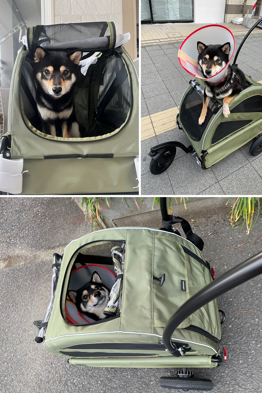 エアバギーペット トゥインクル(口コミ・レビュー) | 犬グッズ 通販