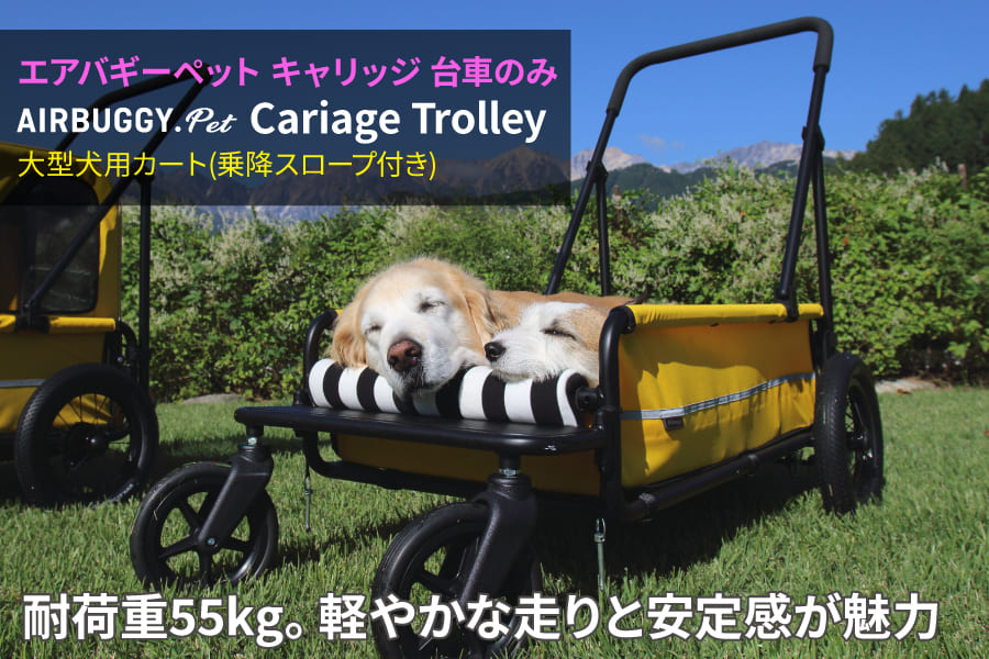 エアバギーペット キャリッジ(台車のみ) | 犬グッズ 通販 イヌトゴ