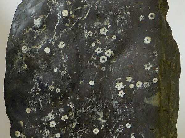 門司 梅花石 2個 門司 梅花石 2個 門司梅花石』 | 東京書芸館公式通販