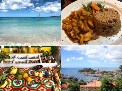 3540 外国切手 グレナティーン諸島 1995年 海の生物 美しいデザイン