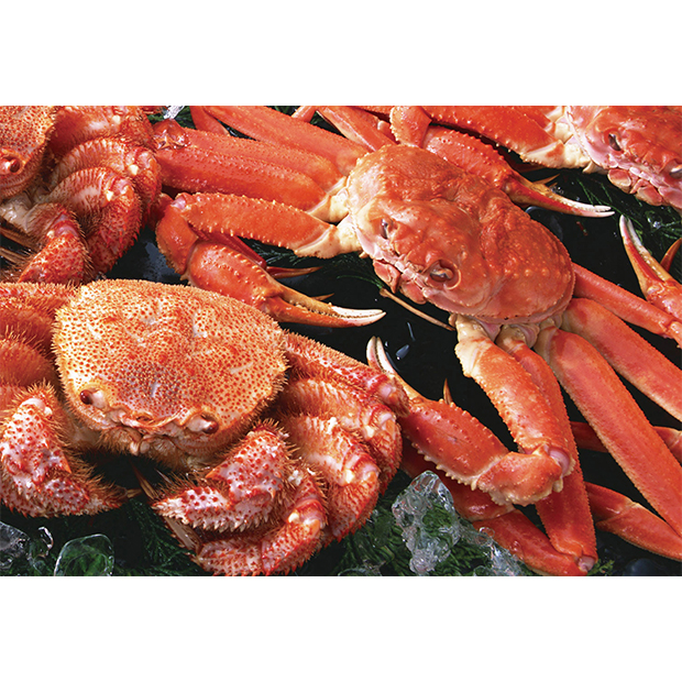 JALとっておきの逸品｜北海かにくらべ（ずわい蟹＆毛蟹）: 大丸松坂屋