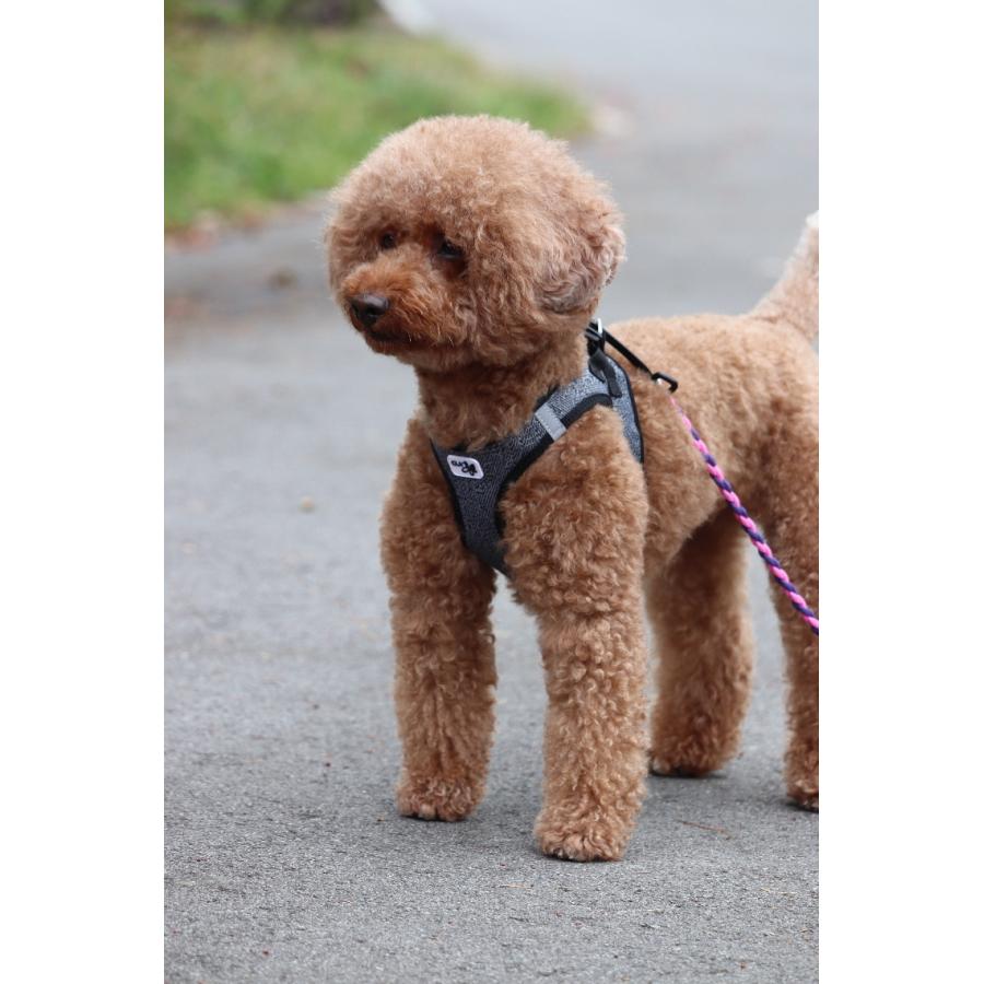 スイスの高級ドッグブランド【Curli】 ベストハーネス・メリノ【VEST