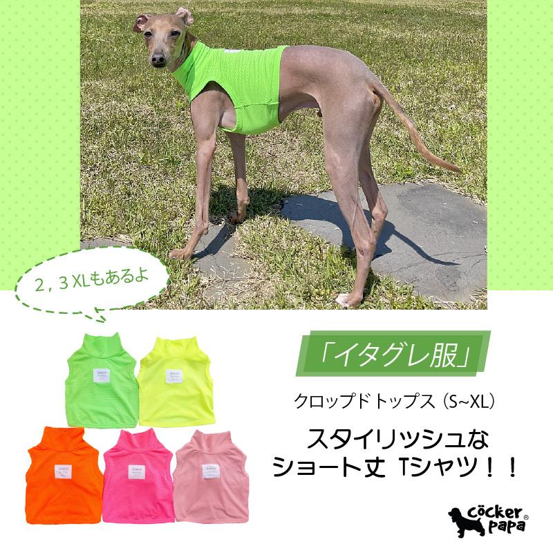 蛍光ピンクメッシュのタンクトップ小さめSサイズイタグレ服犬服