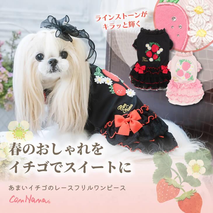 恋いちごワンピースのセットイントレーナー犬服 （胴回り33〜49センチ）