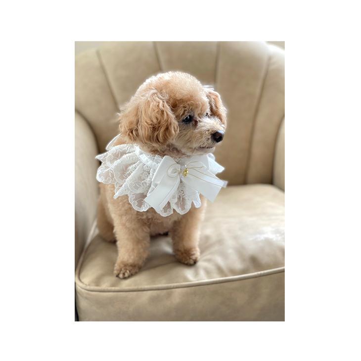 CanNana 犬用 プリンセス アクセサリー レース ネック ドッグウェア