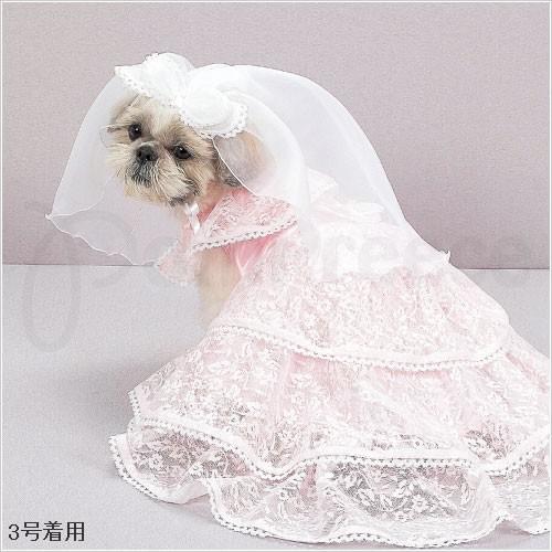 犬用ウエディングドレス】エンジェルウエディング 1〜4号 (2603) : Pet