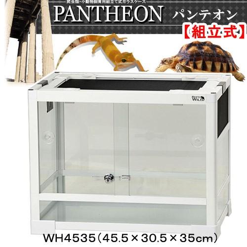 飼育セット/箱付き】パンテオン WH4535 飼育セット パンテオン