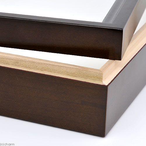 バードウィング製？ ドイツ箱 (幅50.7×奥行き41.8×高さ8cm) バード