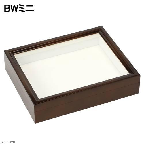 バードウィング製 ドイツ型標本箱 BWミニ （幅25×奥行き20×高さ