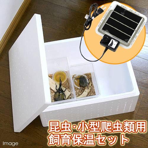 チャーム（charm） 昆虫・小型爬虫類用 飼育保温セット 発泡スチロール