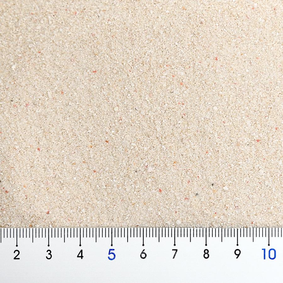 ホワイトサンゴ 自然形状 アクアリウム用