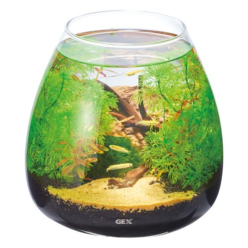 GEX（ジェックス） グラスアクア ティアー N 20cm テラリウム