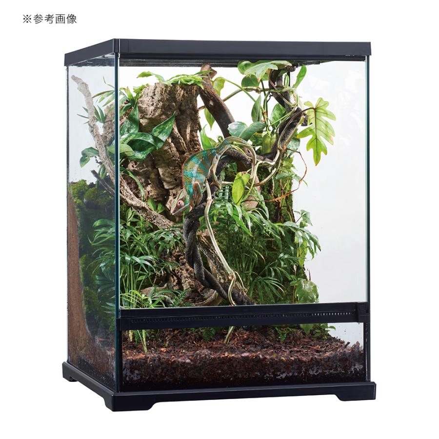 GEX（ジェックス） 爬虫類ケージ エキゾテラ グラステラリウム