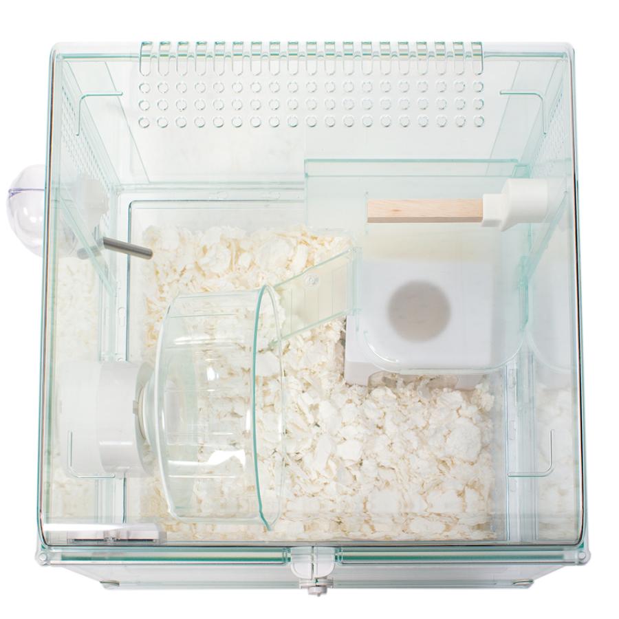 ハビんぐ GEX ハビんぐ グラスハーモニー300Cube ハビんぐ