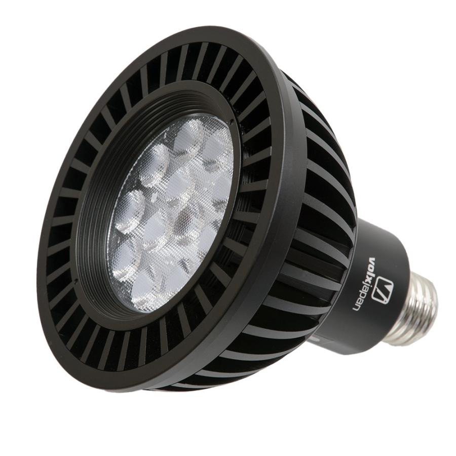 volxjapan（ボルクスジャパン） Grassy LeDio RX122s