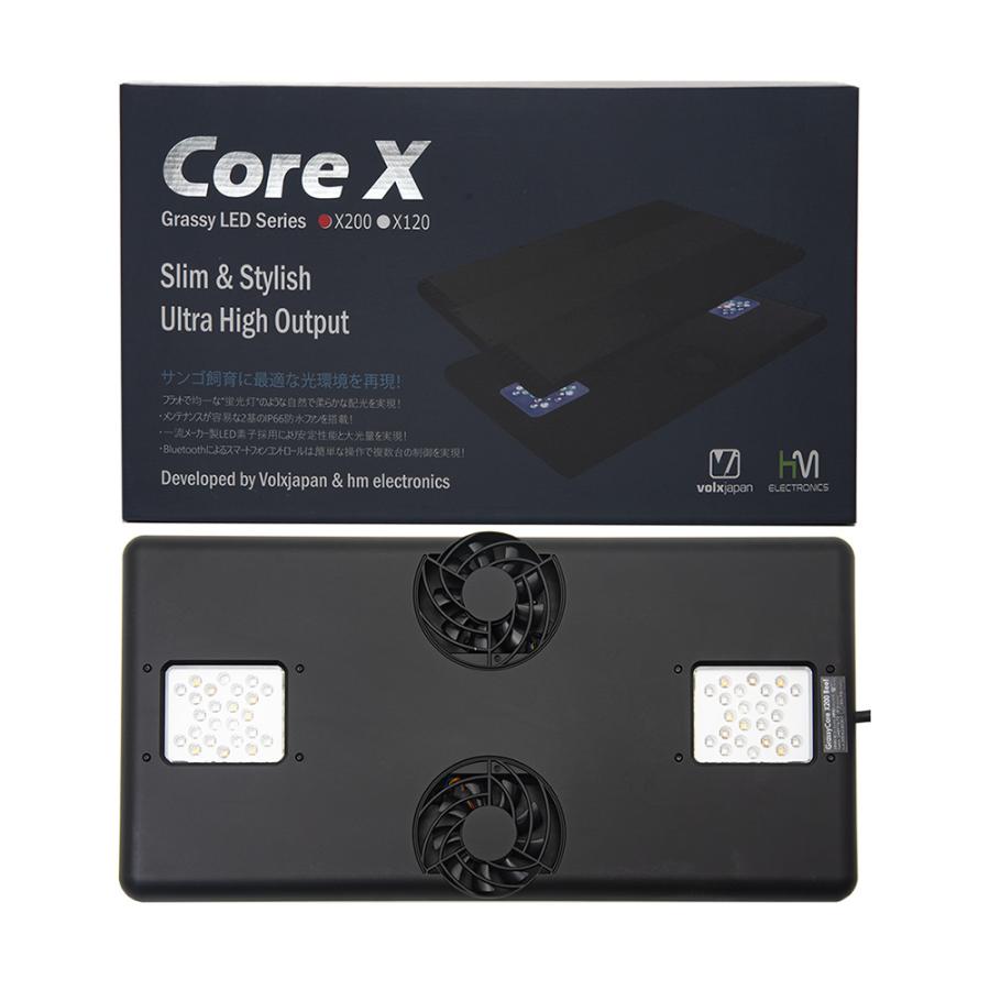 volxjapan（ボルクスジャパン） Grassy Core X200