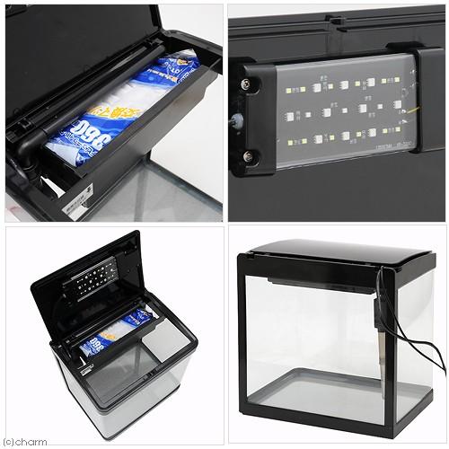 デビュー コトブキ工芸 デビューN325高精度曲げガラス水槽＋LED