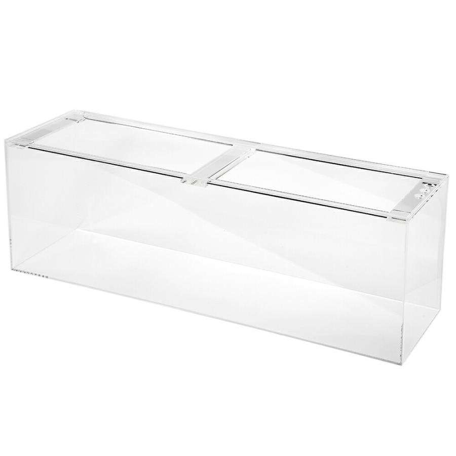 大型）水槽 アクリル水槽 ラクシス No．38 （900×250