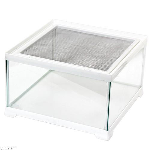 GEX（ジェックス） 爬虫類ケージ レプテリア ホワイト 300キューブ