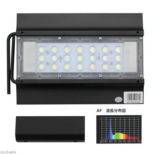 Marfied（マーフィード） アウトレット品 NEMO LIGHT 2