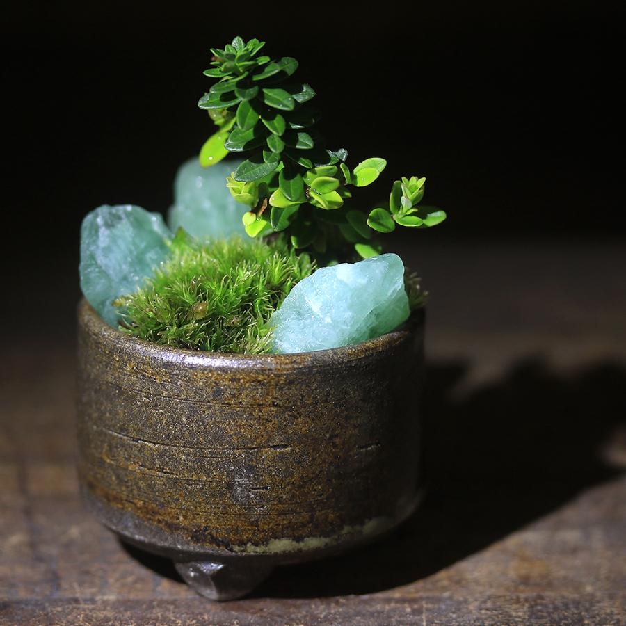 2024 ミニ鉢、盆栽鉢、山野草鉢(今岡町です) 町直 盆栽鉢 植木鉢 山