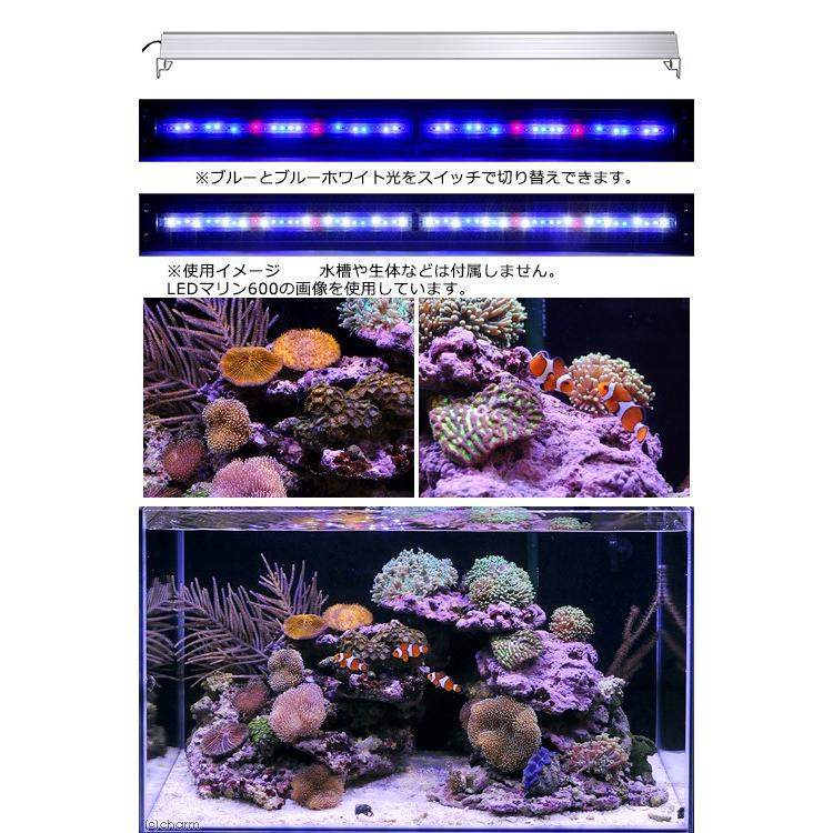 アクロ TRIANGLE LED MARINE 1200 海水魚 サンゴ