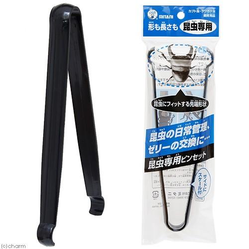 taye購入野外標本 1/2