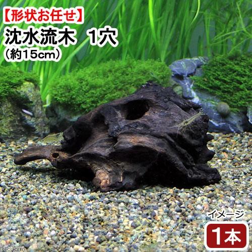 チャーム（charm） すぐに沈む！ 形状お任せ 沈水流木1穴 （約