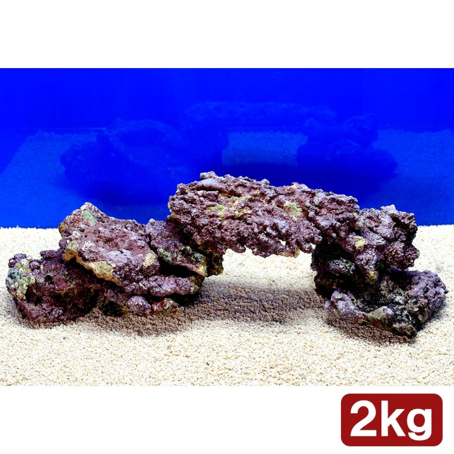 海水魚）ライブロック プレート状 サイズミックス（2kg） 北海道