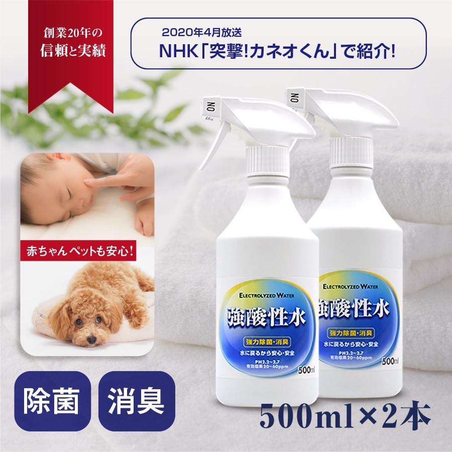 除菌スプレー 本当の次亜塩素酸水 99.999% 強酸性水 500ml 2本 消臭