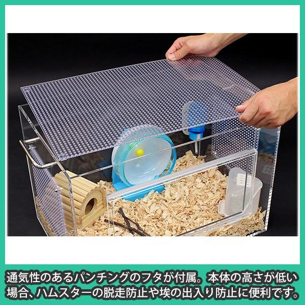 ハムスター ケージ ケース おしゃれ 水槽 爬虫類 亀 カメ カブトムシ