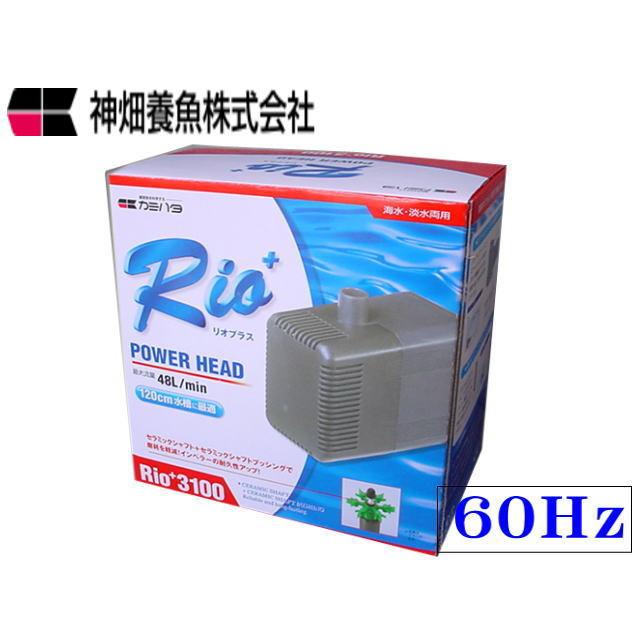 カミハタ Rio+3100 60Hz リオプラス 水中ポンプ 送料無料 管理60