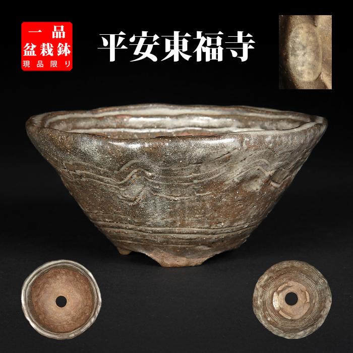 盆栽鉢 東福寺白釉釘彫丸鉢 植木鉢 初代 平安東福寺 トウフクジ とうふ