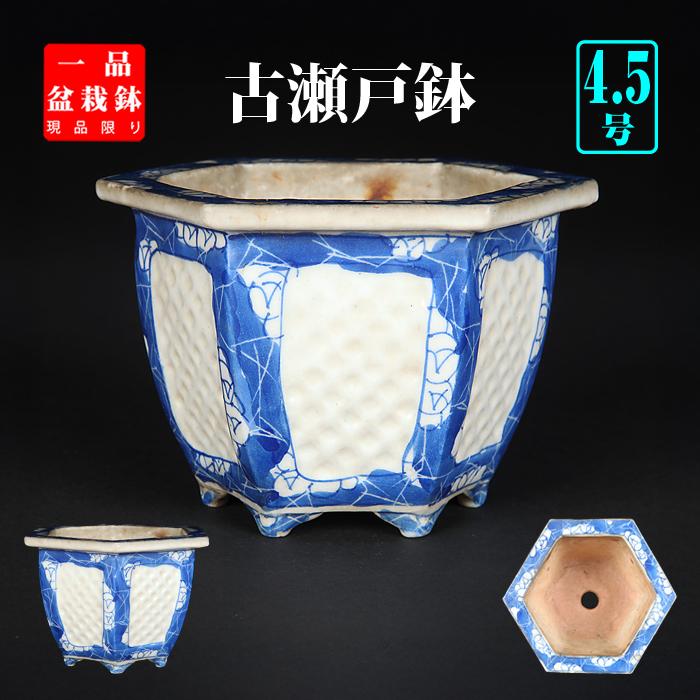 盆栽鉢 瀬戸染付六角鉢 蘭鉢 瀬戸物 磁器 セト 4号 13cm 雑木盆栽 山