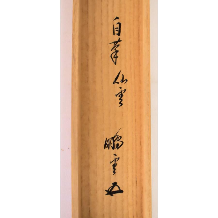 茶道具 軸 「裏千家家元書軸」(仙雲綾寿山) 鵬雲斎書 共箱付 : 文枝堂
