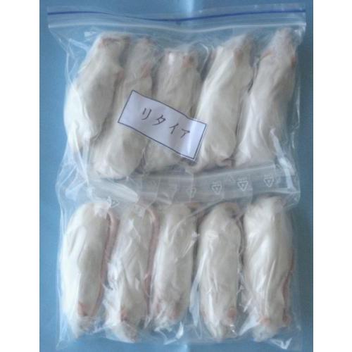 冷凍マウス リタイアのおすすめ人気商品一覧 通販 - Yahoo!ショッピング