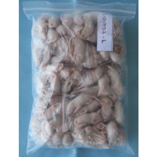 爬虫類ビッグセール】冷凍ピンクマウスL (約4cm) 200匹入り【クール便