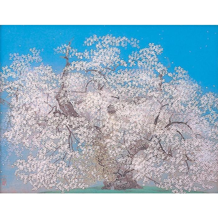 中島千波 『千歳櫻』 岩絵具方式 複製日本画 絵画 桜 春 名画 巨匠