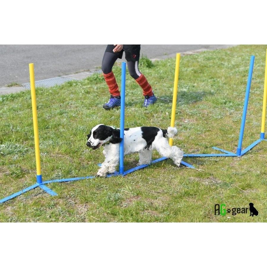 JKC公認訓練士 推奨】犬用 アジリティ スラローム 室内でも使える
