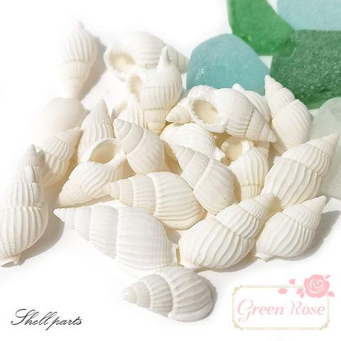 レジン封入にも 白い巻貝の貝殻 10g Kai-001 : GreenRoseネット