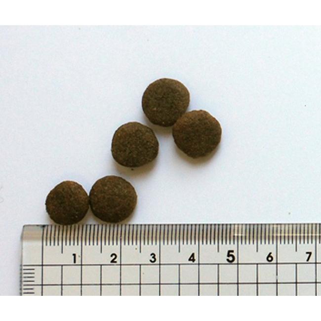 BLACKWOOD（ブラックウッド） ブラックウッド2000チキン 20kg