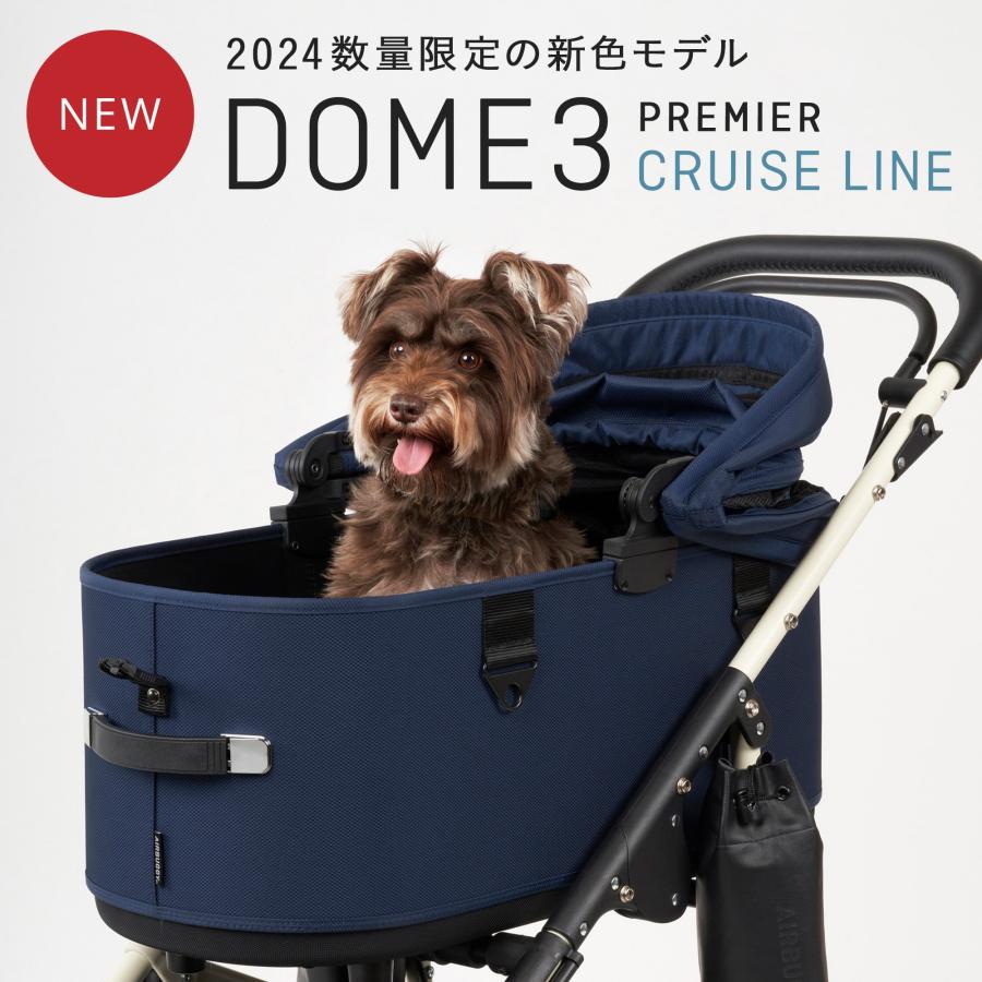 DOME エアバギー ドーム3 プレミア レギュラー セット品 特典あり