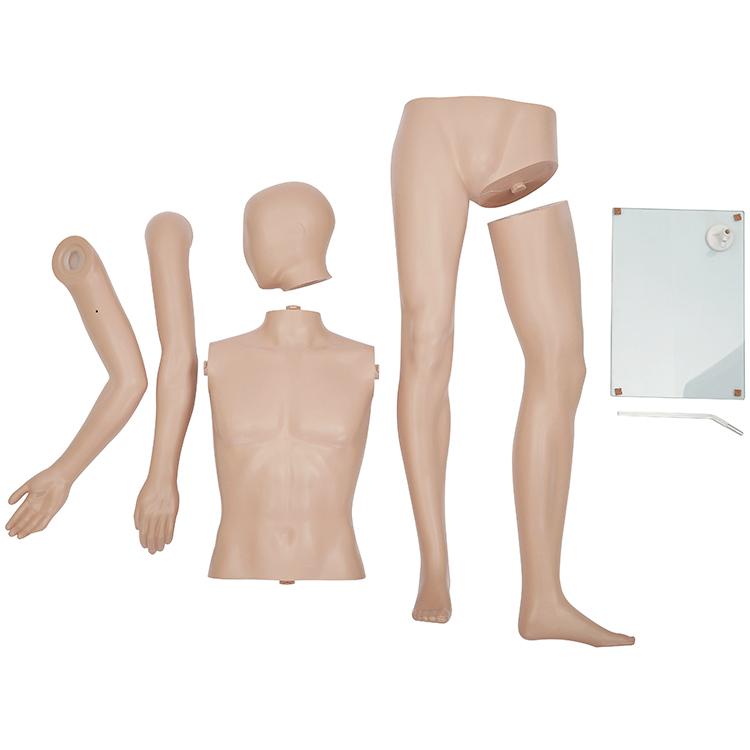 男性用マネキンGM-1S マネキン メンズ 等身大185cm 全身マネキン紳士