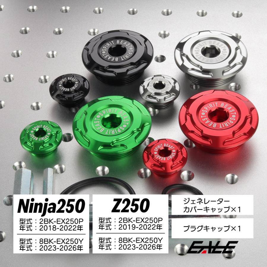 Ninja ジェネレーター カバーキャップ Ninja250 ニンジャ250 2018-2022