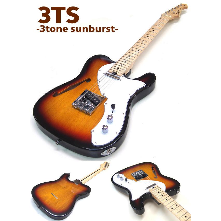 ARIA（アリア） エレキギター Legend LTE-69TL 初心者15点セット