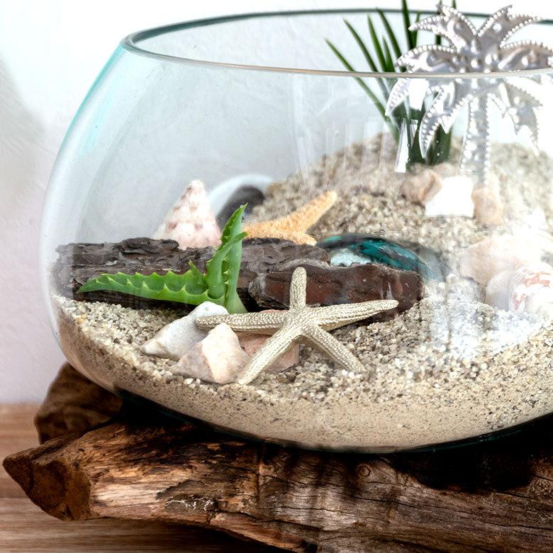 流木ガラス オブジェ中S 花瓶 金魚鉢 ガーデニング テラリウム 観賞魚