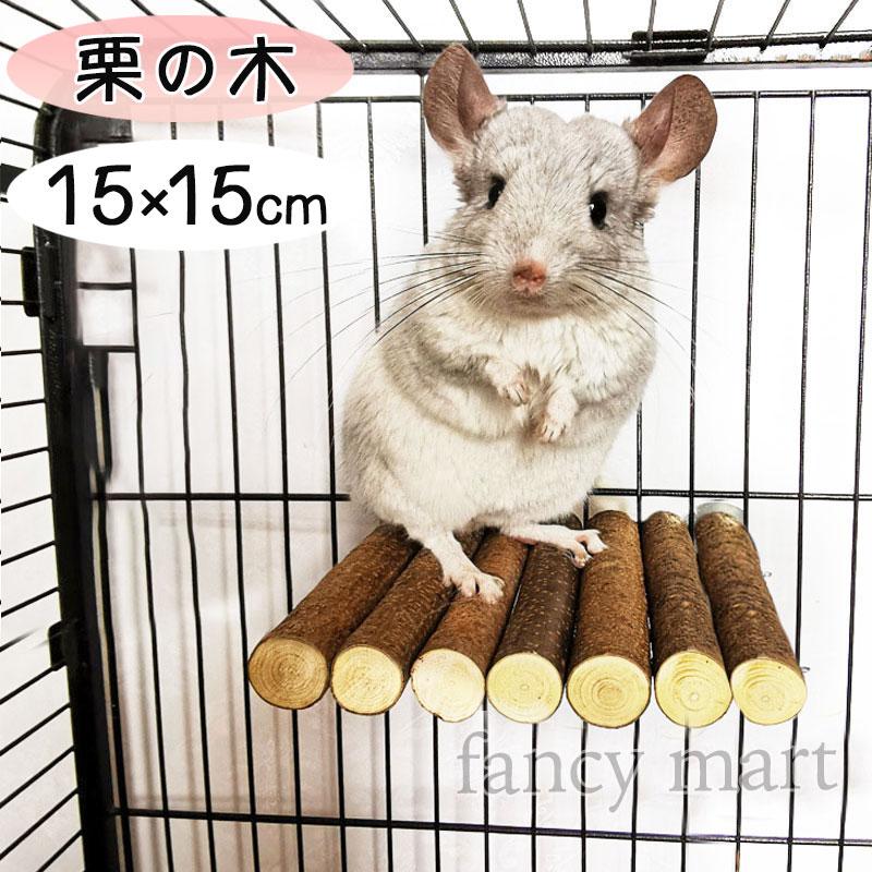 小動物 モルモット チンチラ デグー ステージ ステップ 鳥 インコ