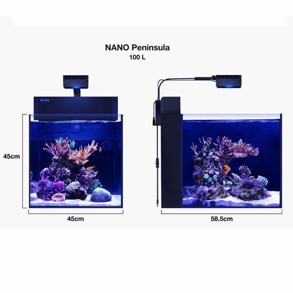 レッドシー MAX NANO Peninsula ブラックセット 60hz（西日本専用