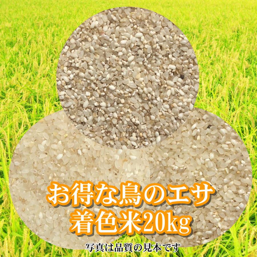 鳥の餌 着色米 エサ 20kg 「着色米20kg」（ちゃくしょくまい） : 米屋